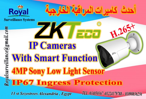 أفضل كاميرات مراقبة خارجية IP Camera 4MP ماركة ZKTECO P_13602pw8k1